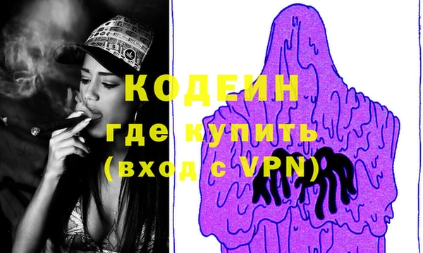 стафф Касимов