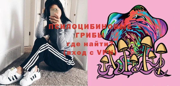 стафф Касимов