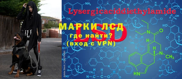 крисы Карпинск