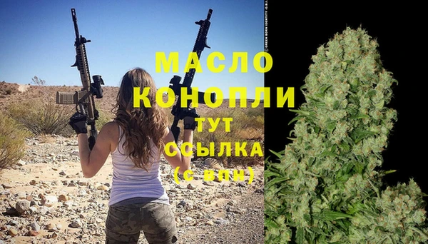 стафф Касимов