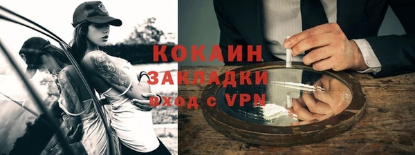 стафф Касимов